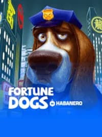 Fortune Dogs
