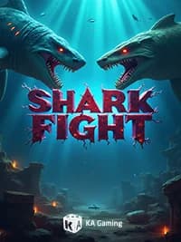 Shark Fight