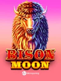 Bison Moon