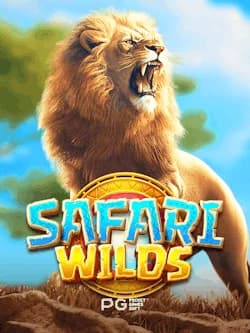 Safari Wilds