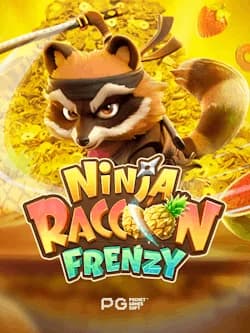 Ninja Raccoon Frenzy