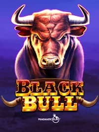 Black Bull