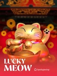 Lucky  Meow
