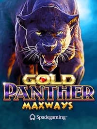 Gold Panther Maxways